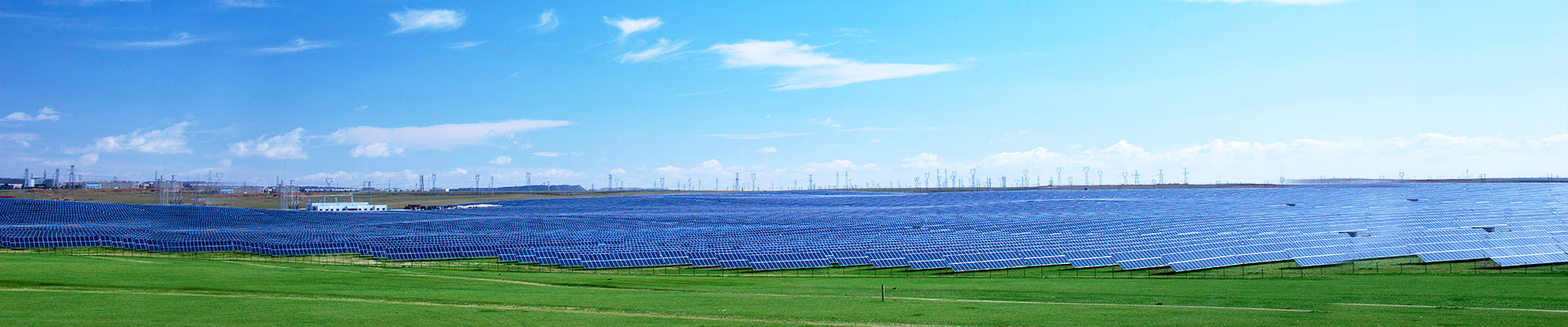 Vegan Leather/Myprotein